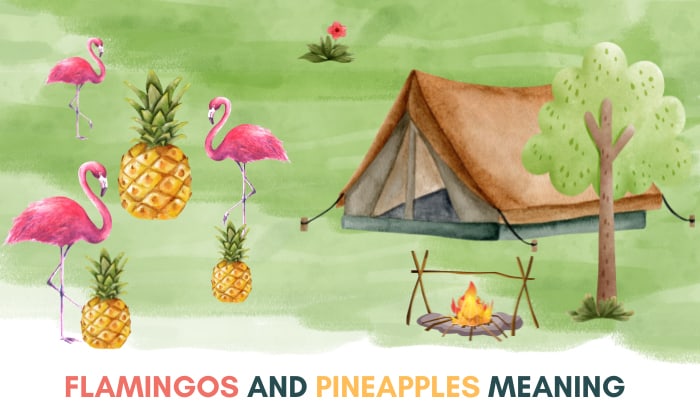 what do flamingos and pineapples mean at a campsite