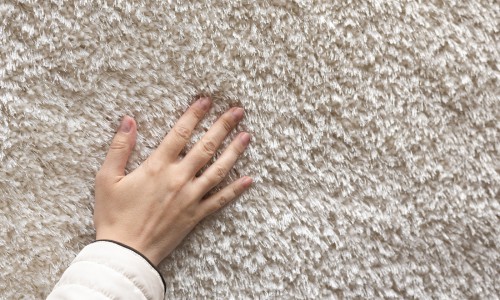 Carpet