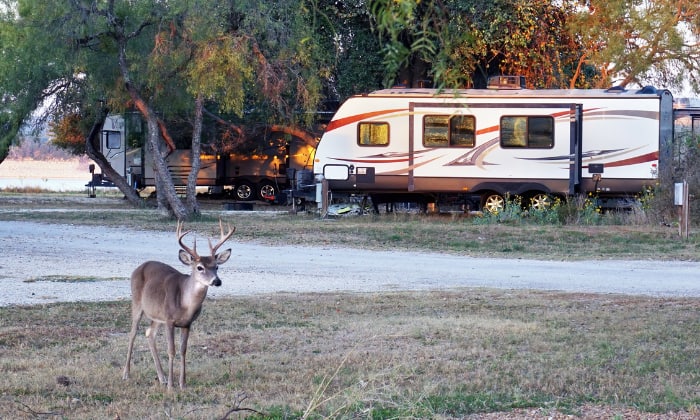 Is-It-Legal-to-Live-in-RVs-in-Texas