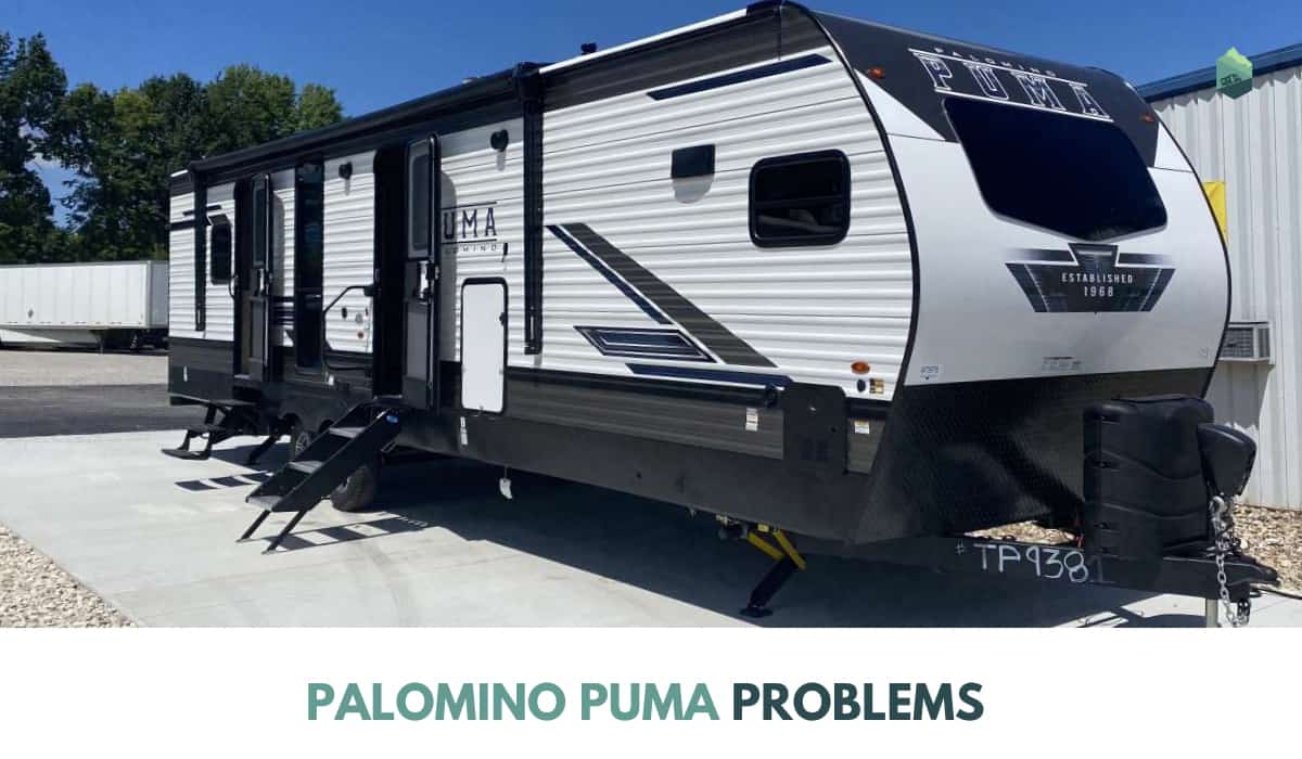 Palomino Puma Problems Solutions Tips