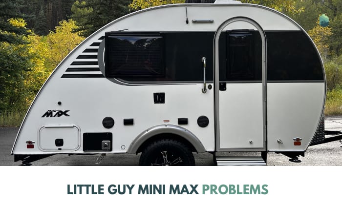 little guy mini max problems